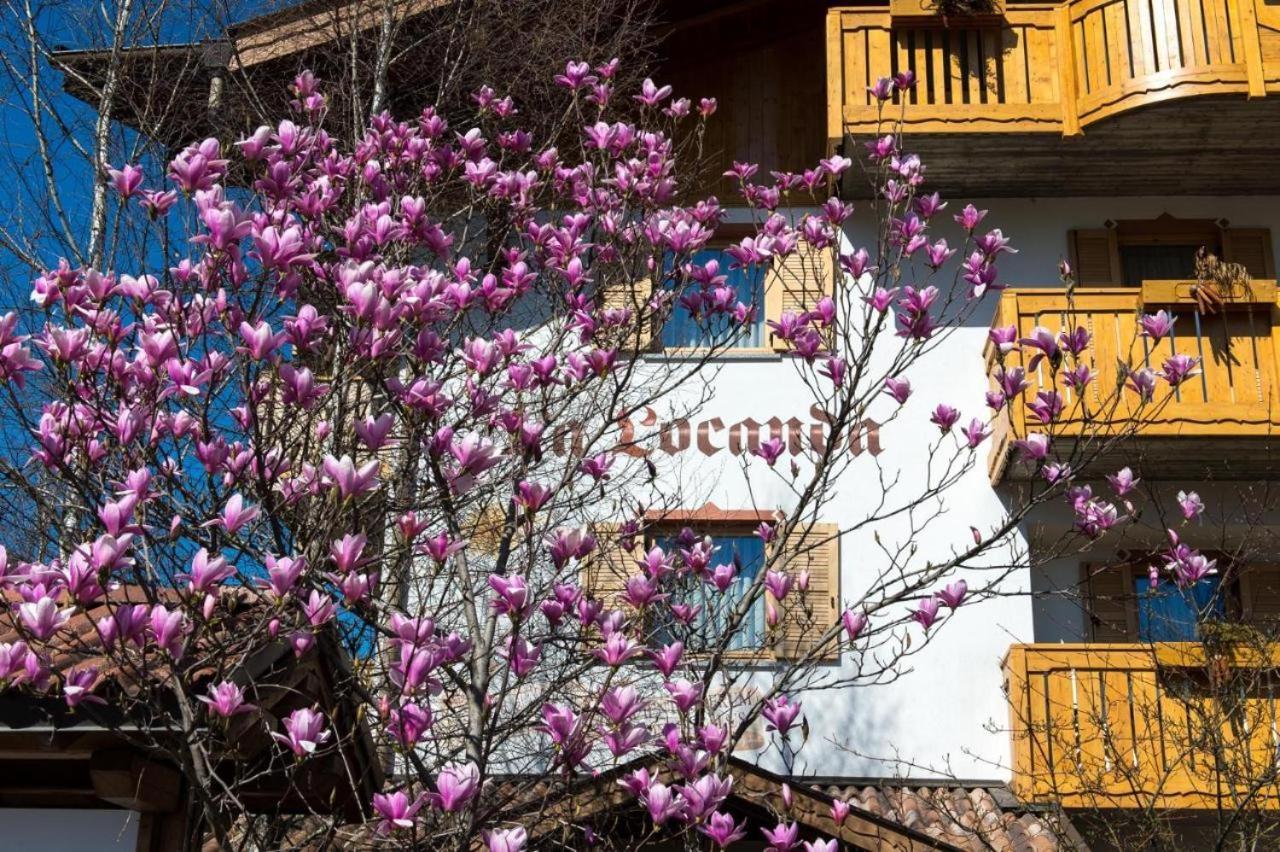 Hotel La Locanda ピンツォーロ エクステリア 写真